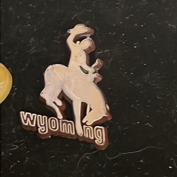 Vintage 1” x 0.75” “Wyoming ASI 65485” hat/lapel pin or tie tack - Picture 5 of 10